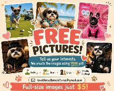 Free custom pet pics