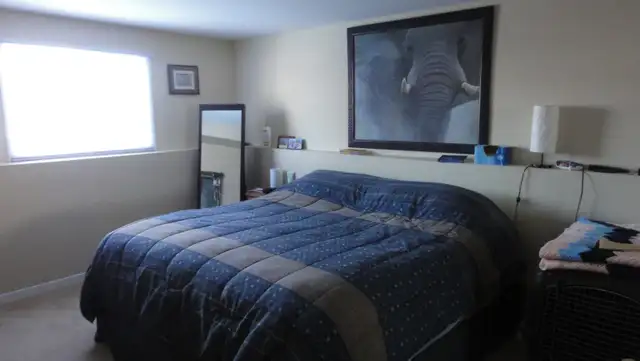 2BDRM/1BA basement with 2 parking - Photo 2