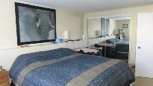 2BDRM/1BA basement with 2 parking - Photo 3