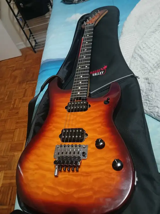 EVH 5150 Deluxe - Photo 2