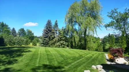 HIRING NOW - EXPERIENCED LAWN CARE TEAM MEMBERS - HAMILTON AREA - Photo 2