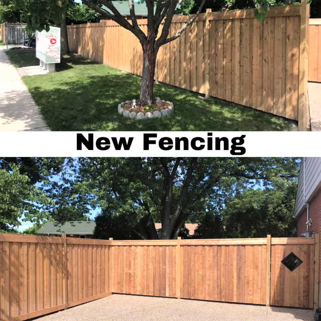 HIRING NOW - EXPERIENCED LAWN CARE TEAM MEMBERS - HAMILTON AREA - Photo 5