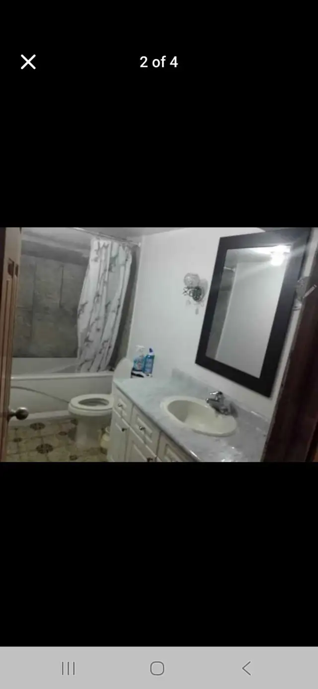 Three spaces available to rent starting June 2026 - Photo 5