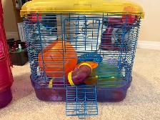 Hamster accessories - Photo 2