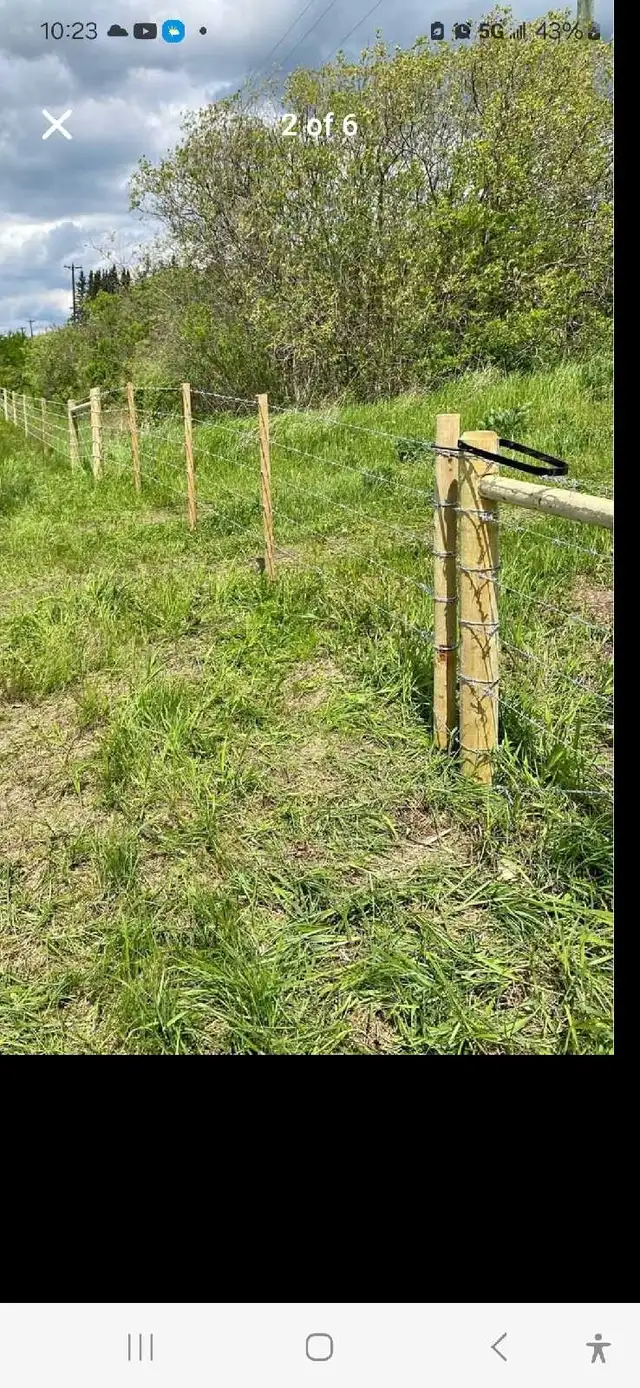 posting job - Photo 2