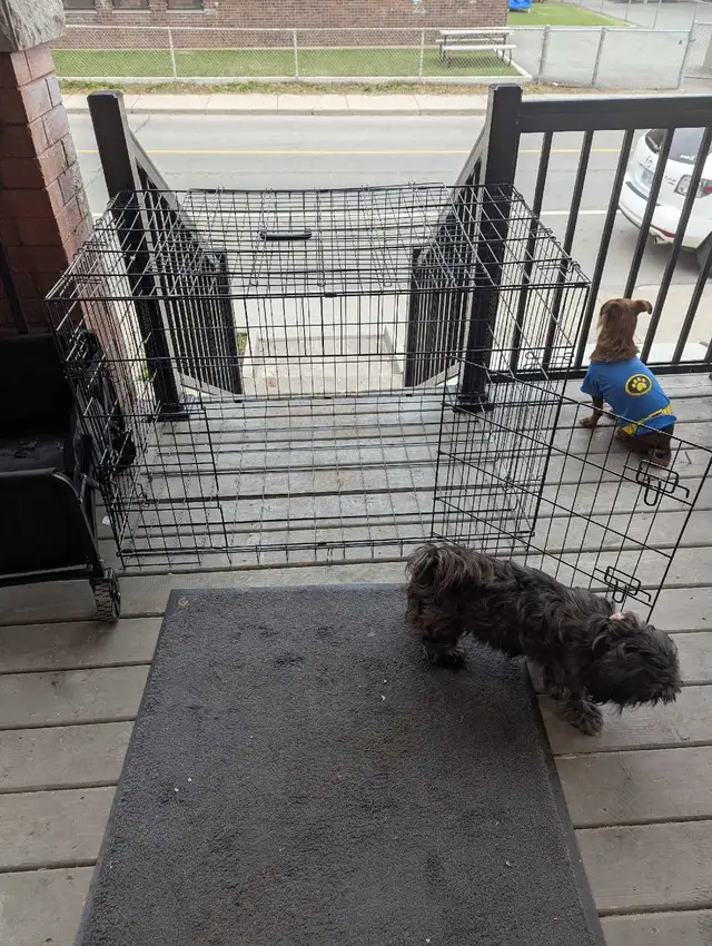 Dog cage/crate