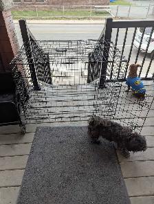 Dog cage/crate