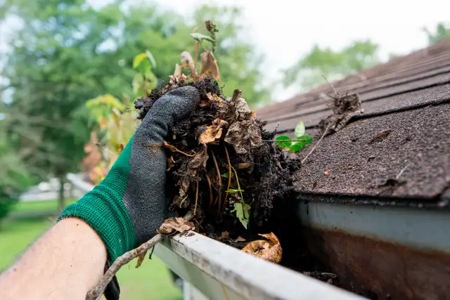 GUTTER DOCTOR Home Exterior Services. We do everything exterior! - Photo 5