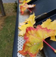 GUTTER DOCTOR Home Exterior Services. We do everything exterior! - Photo 6