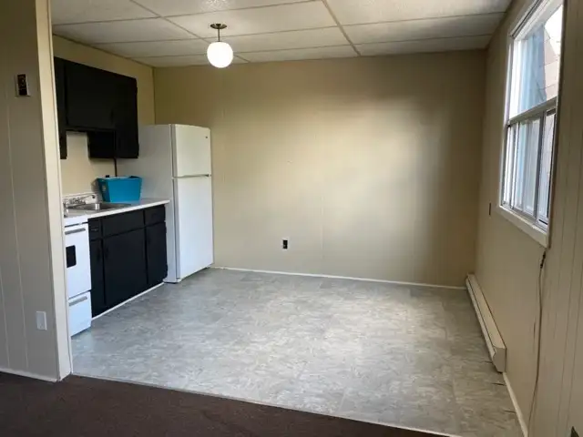 All Inclusive 1 Bedroom, Close to Downtown, June 1st - Photo 2
