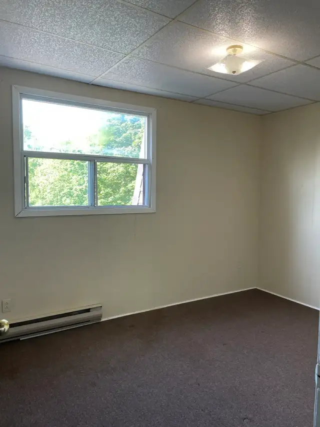 All Inclusive 1 Bedroom, Close to Downtown, June 1st - Photo 4