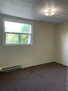 All Inclusive 1 Bedroom, Close to Downtown, June 1st - Photo 4