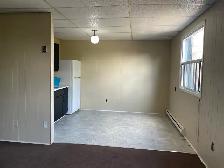 All Inclusive 1 Bedroom, Close to Downtown, June 1st - Photo 9