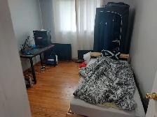 Room for rent near humber college