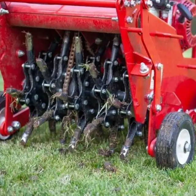 Lawn Aeration