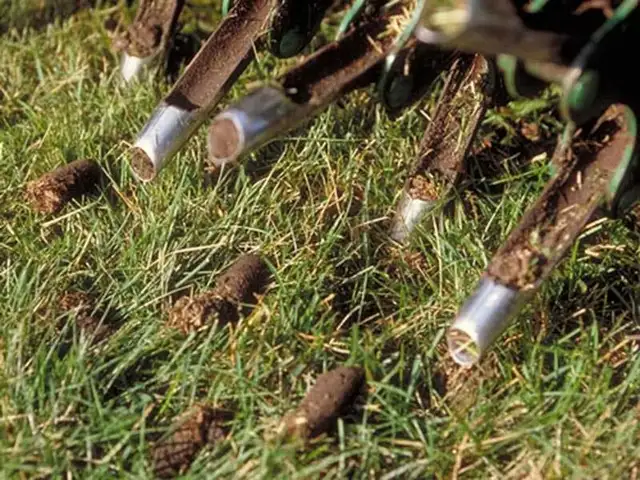Lawn Aeration