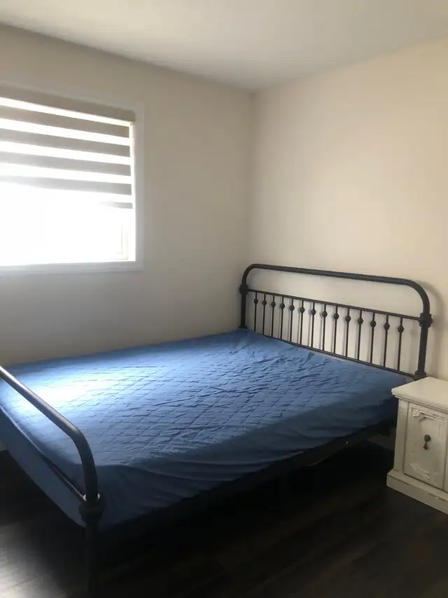 looking for roommate