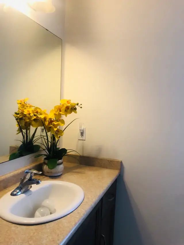 looking for roommate - Photo 4