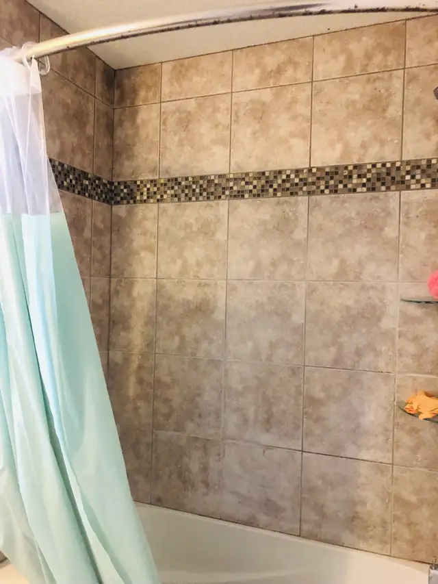 looking for roommate - Photo 5