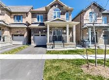 Basement For Rent