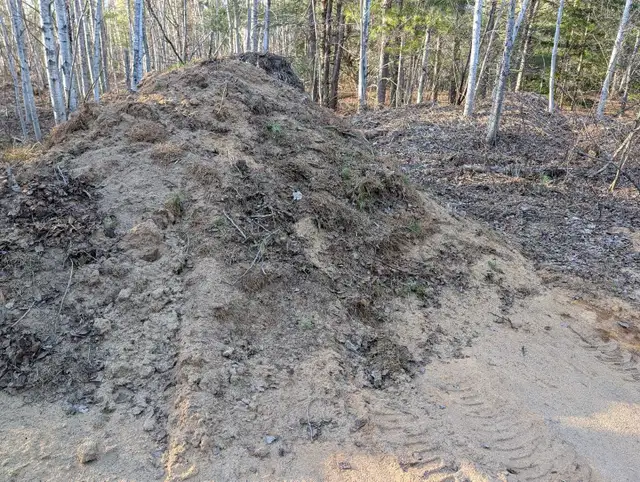 SAND FOR SALE - Photo 2