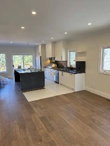 Home Renovation Services