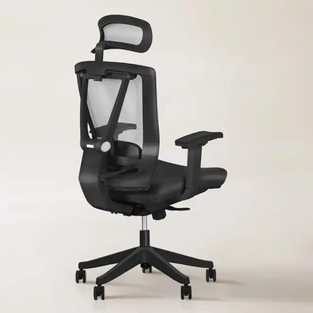 EFFYDESK Aery Chair Ergonomic Office Mesh Back Lumbar Support Co - Photo 2