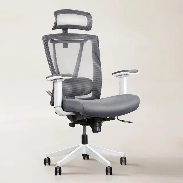 EFFYDESK Aery Chair Ergonomic Office Mesh Back Lumbar Support Co - Photo 3