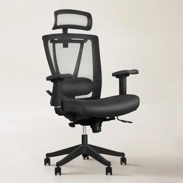 EFFYDESK Aery Chair Ergonomic Office Mesh Back Lumbar Support Co - Photo 4