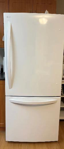 Refrigerator, bottom freezer, white from Home Depot