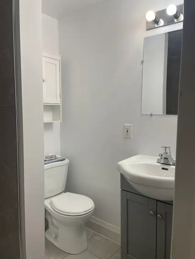 Finished Basement Available for Rental in Pickering - Photo 9