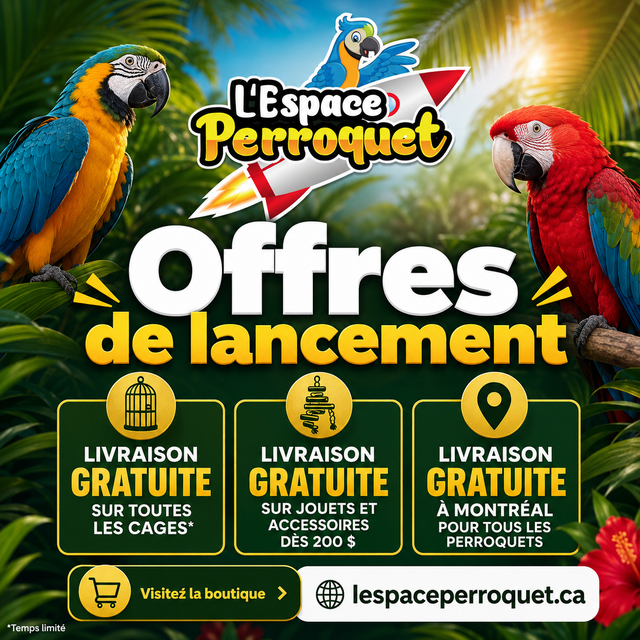 @L’Espace Perroquet est de retour! The Parrot Space is Back - Photo 8
