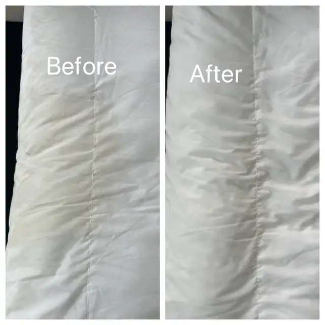 Carpet & Sofa steam cleaning - Photo 4