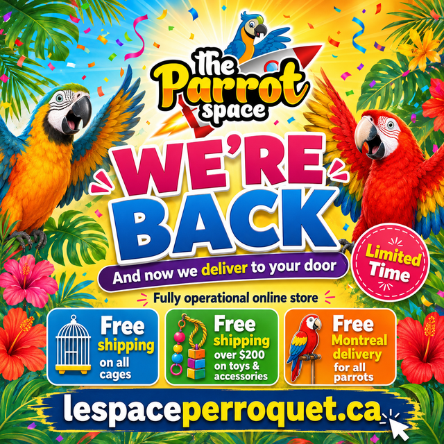 ⭐THE PARROT SPACE IS BACK!⭐ Free Delivery