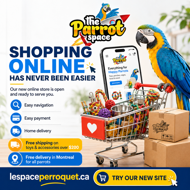 ⭐THE PARROT SPACE IS BACK!⭐ Free Delivery - Photo 4