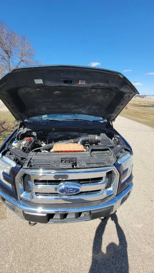 Saftied 2015 f150 ecoboost - Photo 8