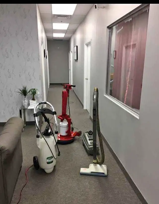 The Best Home Carpet,Rugs And Couch,Cleaning