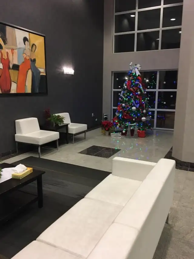The Best Home Carpet,Rugs And Couch,Cleaning - Photo 2