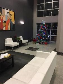 The Best Home Carpet,Rugs And Couch,Cleaning - Photo 2