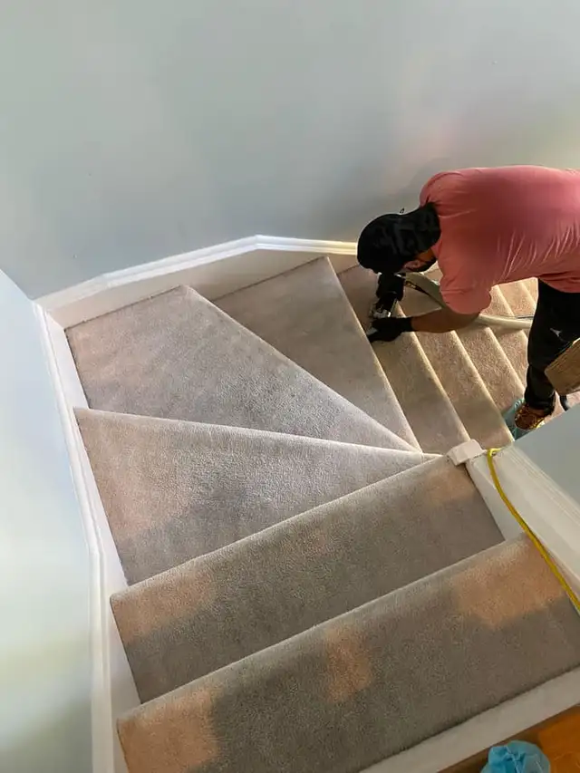 The Best Home Carpet,Rugs And Couch,Cleaning - Photo 3