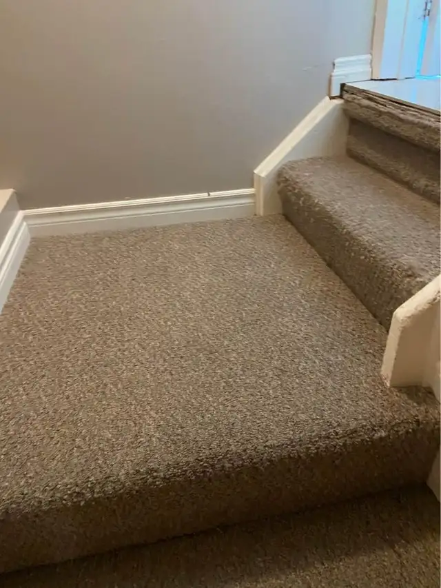 The Best Home Carpet,Rugs And Couch,Cleaning - Photo 5