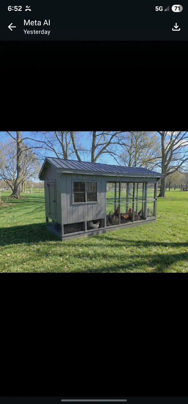 Chicken coops for sale