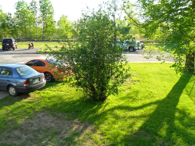 3-Bedroom Apartment – Close Downtown Ottawa - Photo 9