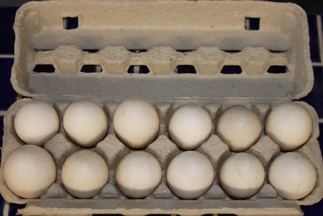 Fertilized domestic duck hatching eggs for sale.
