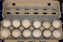 Fertilized domestic duck hatching eggs for sale.