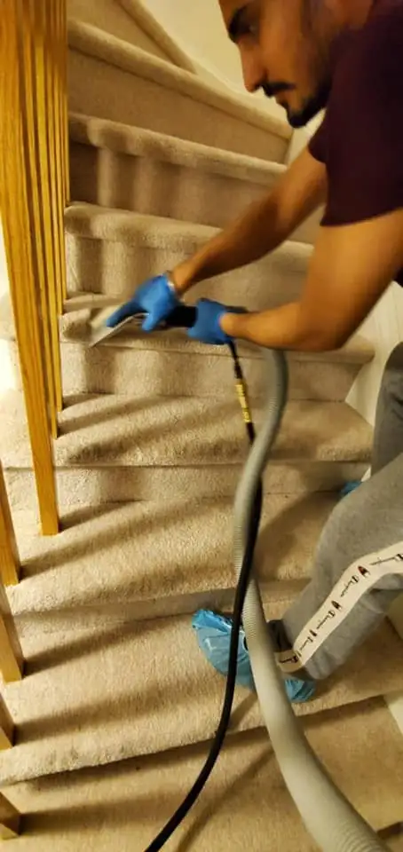 Fresh Home Carpet & Couch_Upholstery_Cleaning - Photo 4
