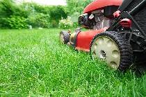 Grass Cutting