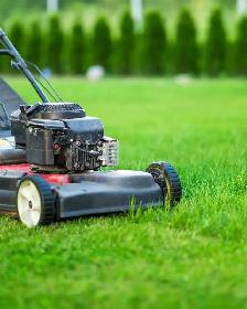 Grass Cutting