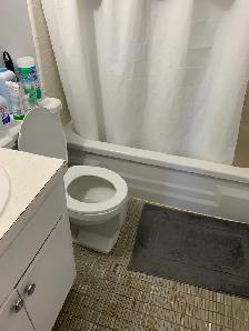 Room for rent Montreal 600$