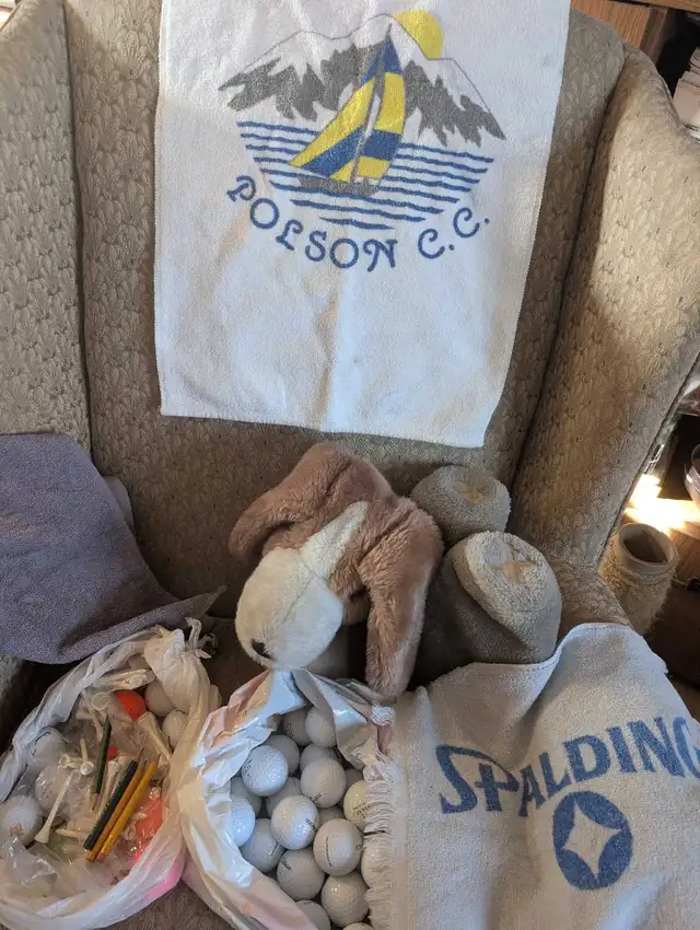 Men's golf cart and clubs. - Photo 5